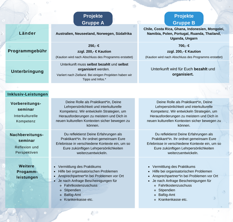 Auslandspraktikum Programm