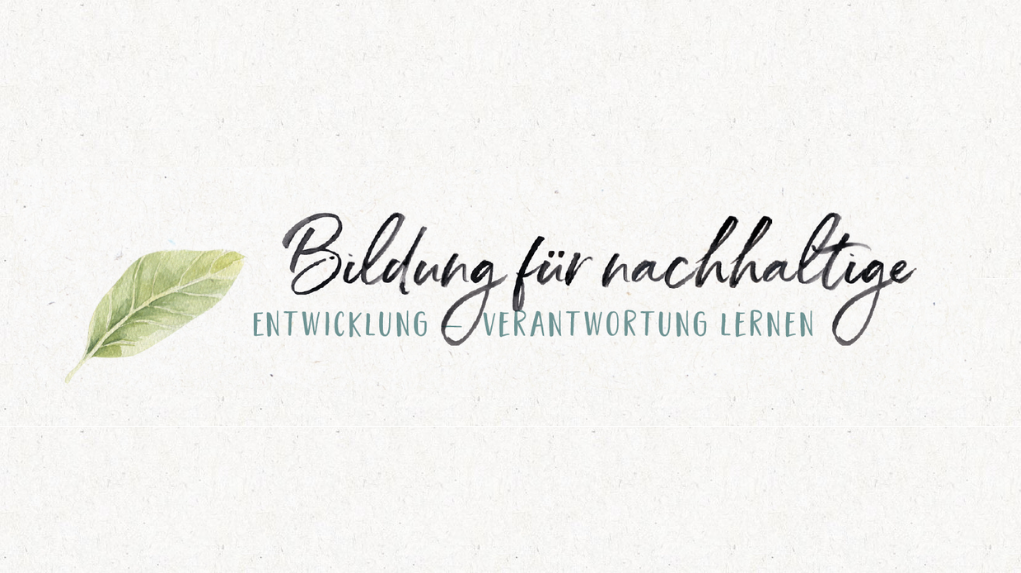 Bildung für nachhaltige Entwicklung BNE